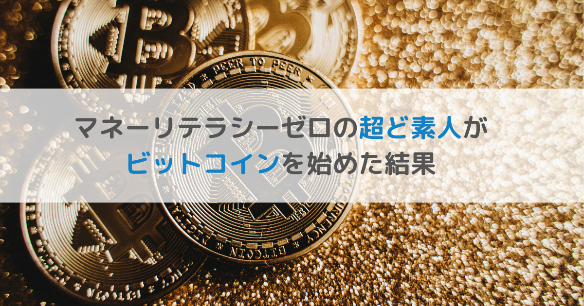 ビットコインの結果